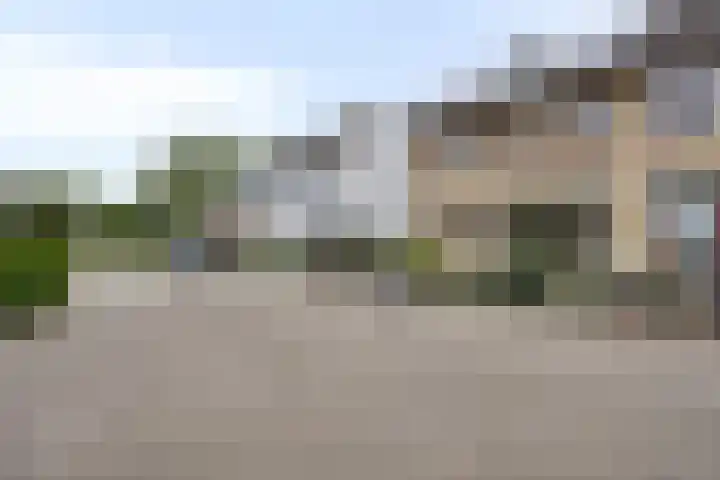 Schollaan 6 Helmond thumbnail 41