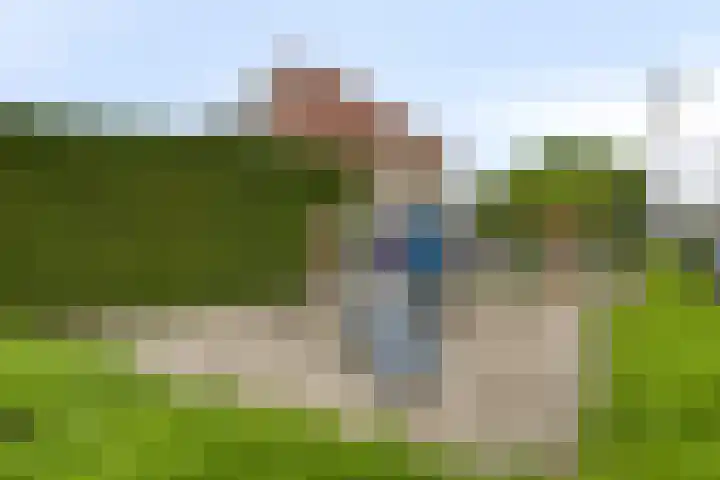 Schollaan 6 Helmond thumbnail 42