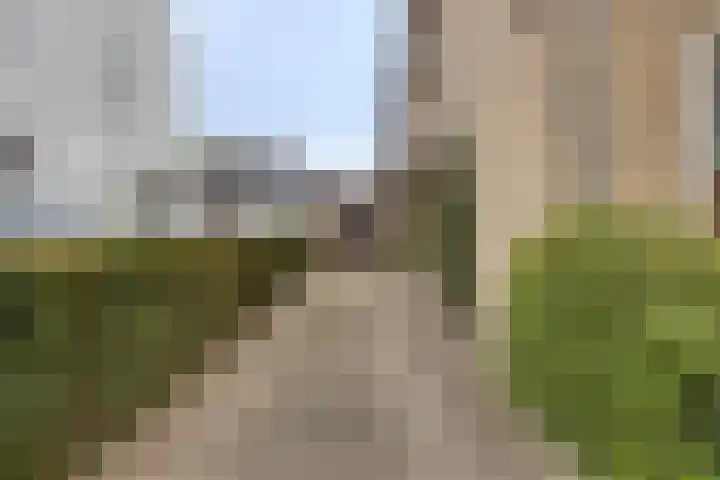 Schollaan 6 Helmond thumbnail 7