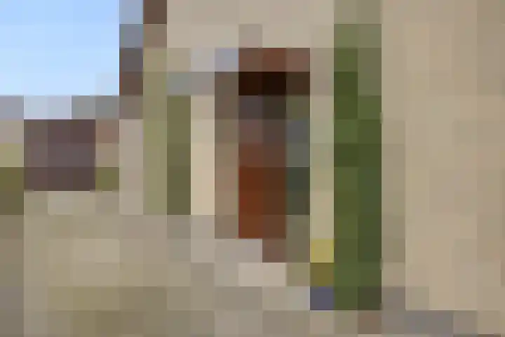 Schollaan 6 Helmond thumbnail 8