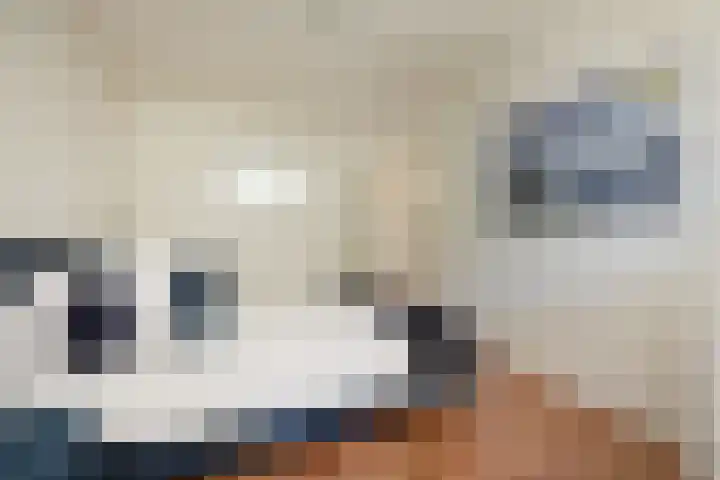 Schollenbrugpad 12 Amsterdam thumbnail 13