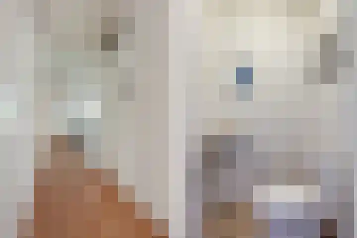 Schollenbrugpad 12 Amsterdam thumbnail 20