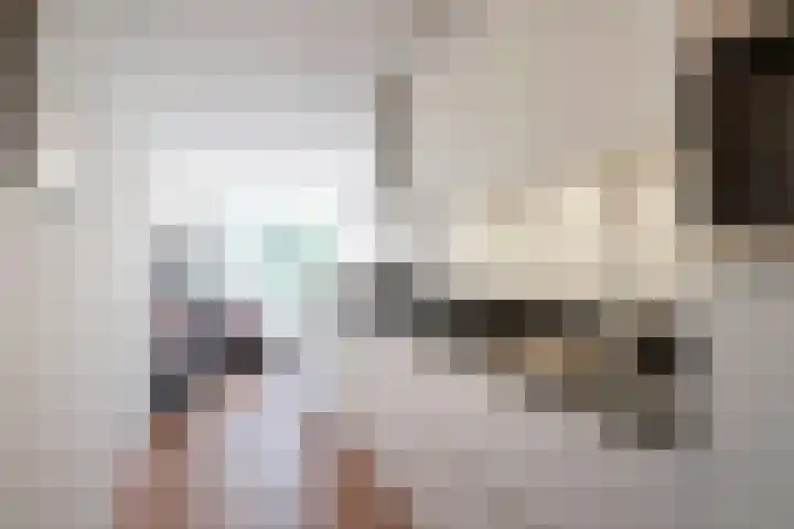 Schollenbrugpad 12 Amsterdam thumbnail 8