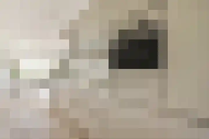 Schollenbrugpad 28 Amsterdam thumbnail 13