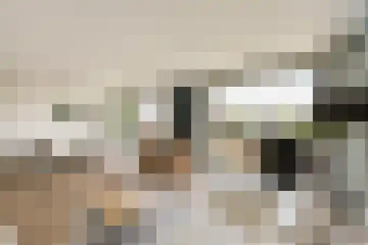 Schollenbrugpad 28 Amsterdam thumbnail 26