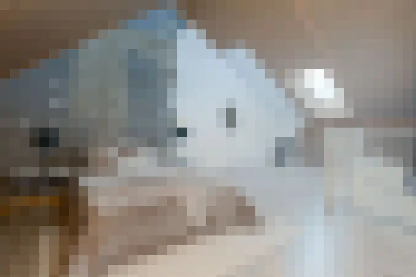 Schollenkamp 8 Borculo thumbnail 29