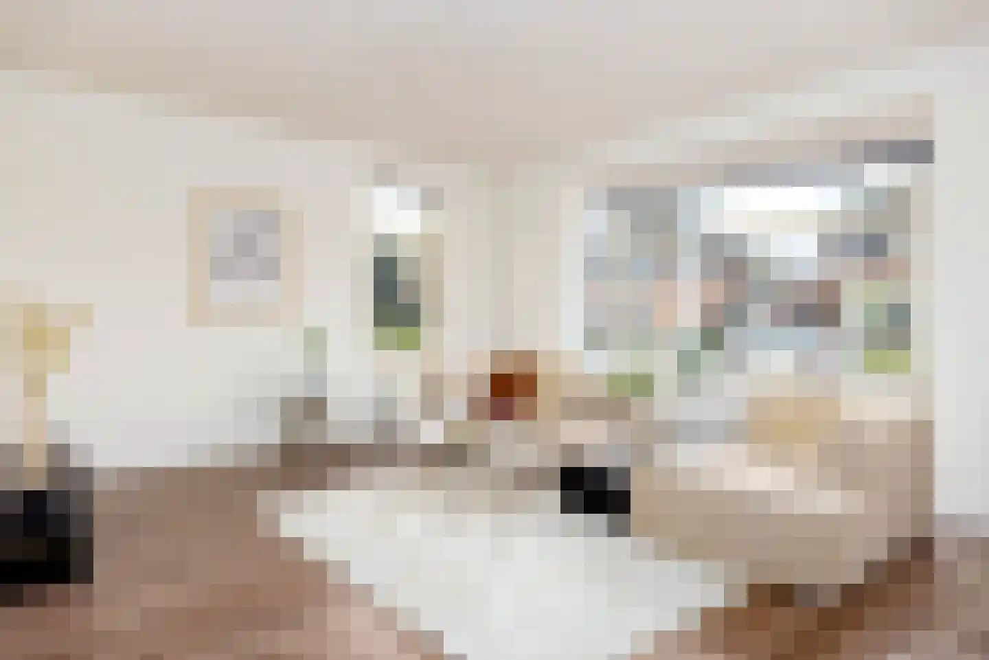 Schollenkamp 8 Borculo thumbnail 9
