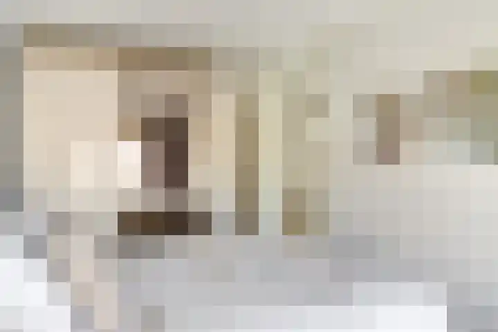 Schollevaarlaan 31 Heemstede thumbnail 23