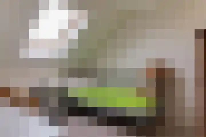 Schollevaarlaan 31 Heemstede thumbnail 30