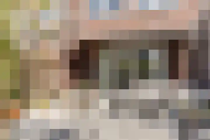 Schollevaarlaan 31 Heemstede thumbnail 32