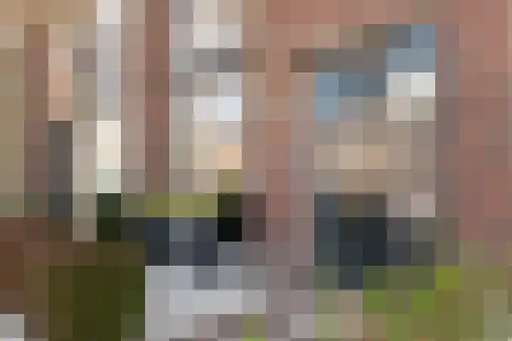 Schollevaarlaan 31 Heemstede thumbnail 4