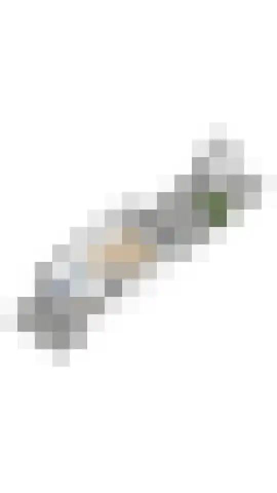 Schollevaarlaan 31 Heemstede thumbnail 47