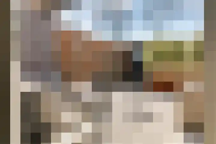 Schollevaarlaan 31 Heemstede thumbnail 8