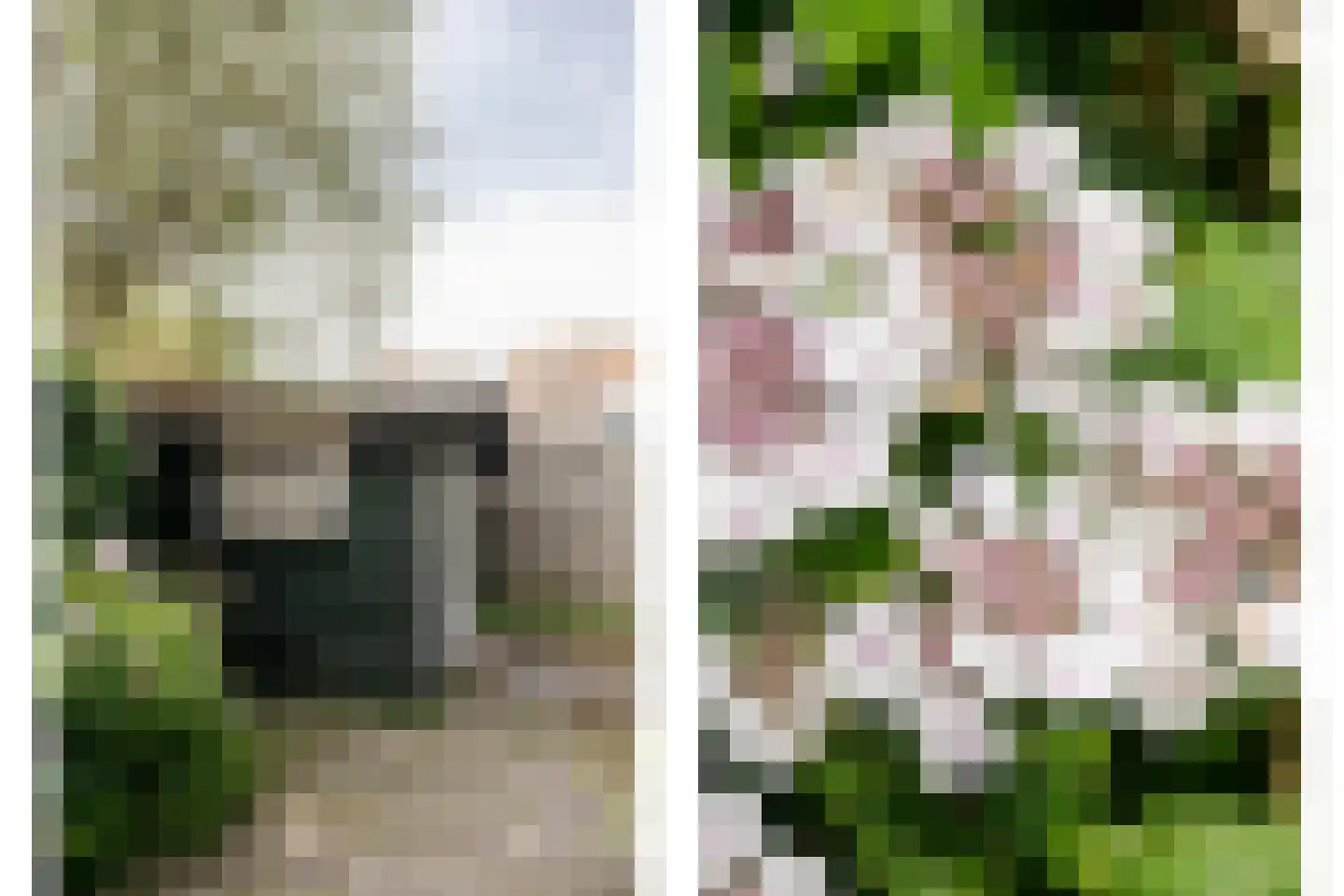 Schollevaarlaan 5 Heemstede thumbnail 21