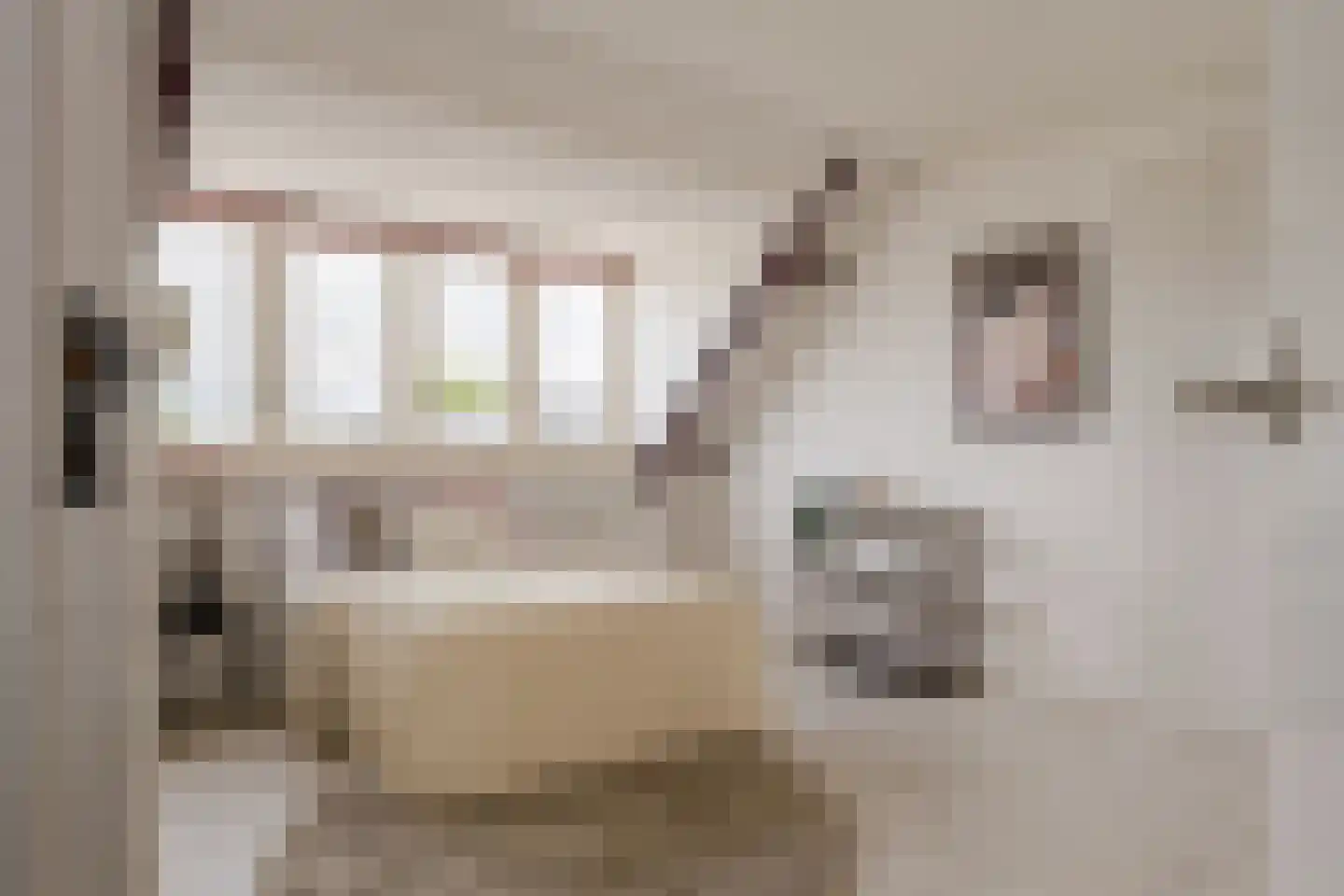 Schollevaarlaan 5 Heemstede thumbnail 41