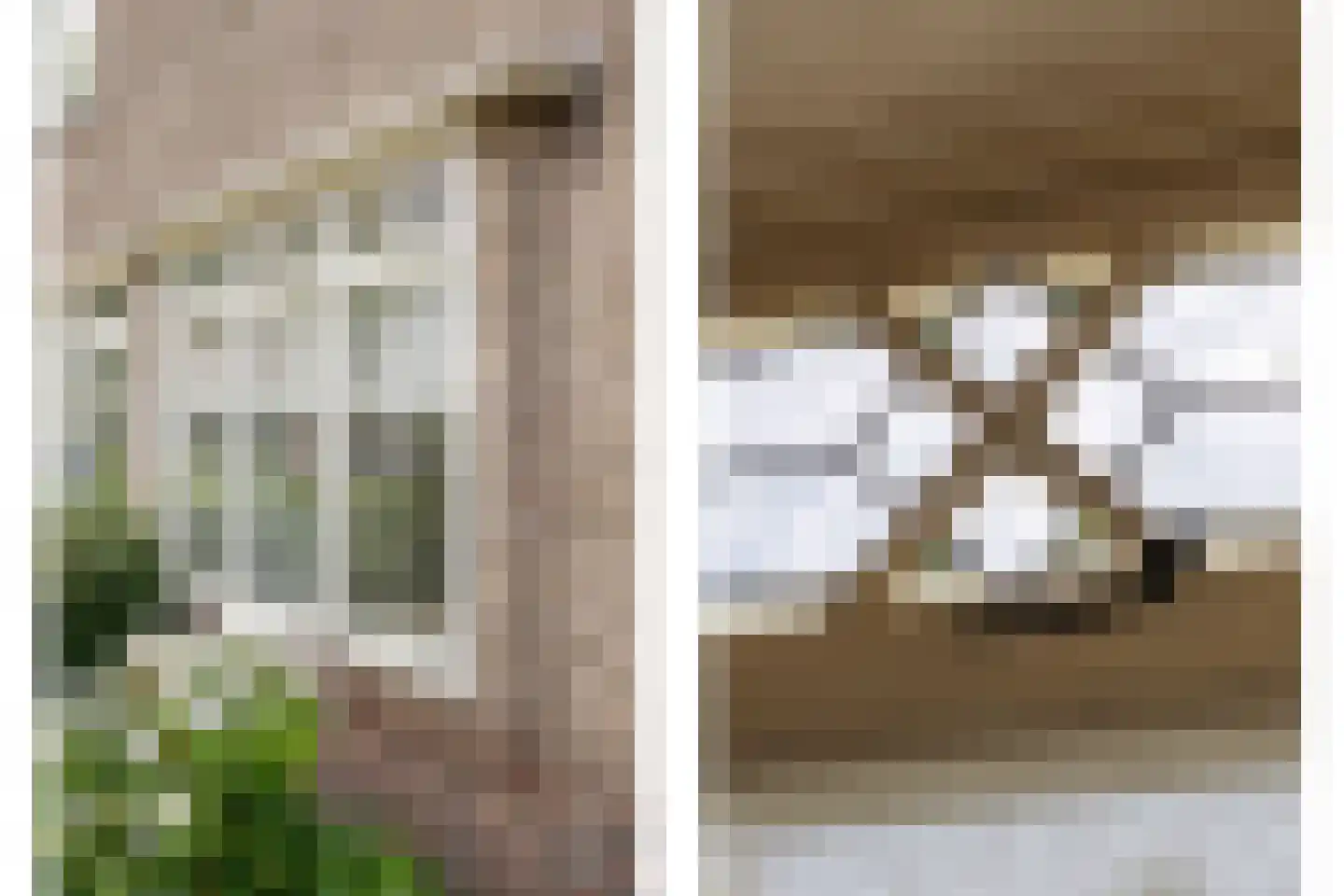 Schollevaarlaan 5 Heemstede thumbnail 8
