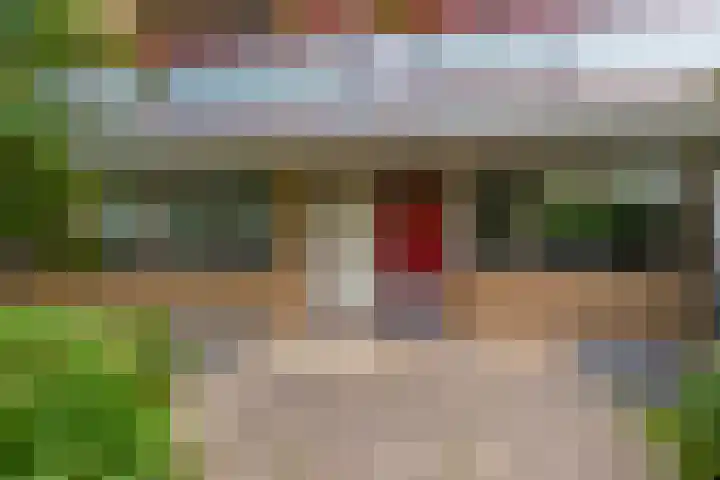 Schollevaarstraat 6 in Maassluis