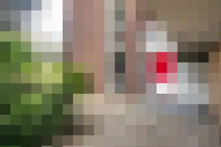 Schollevaarstraat 6 Maassluis thumbnail 17