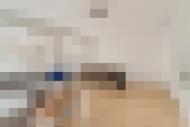 Schollevaartse Dreef 17 Rotterdam thumbnail 10