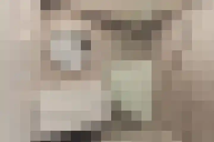 Schollevaartse Dreef 17 Rotterdam thumbnail 16