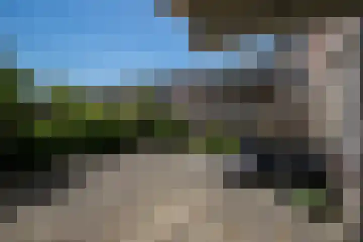 Schollevaartse Dreef 17 Rotterdam thumbnail 23