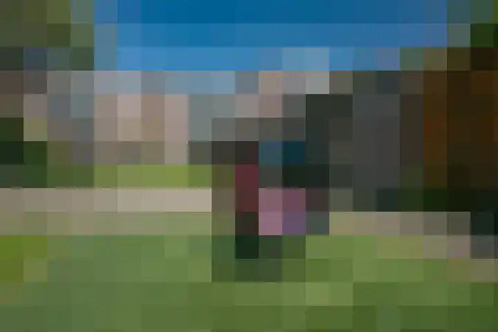 Schollevaartse Dreef 17 Rotterdam thumbnail 27