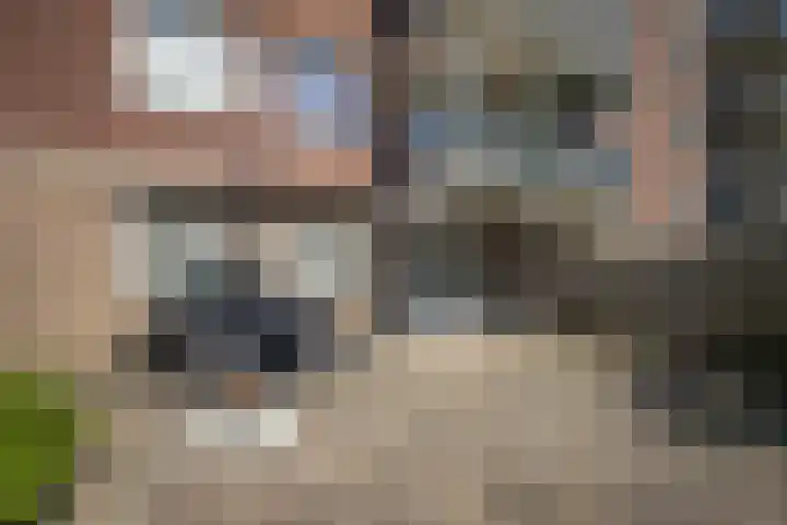 Schollevaartse Dreef 17 Rotterdam thumbnail 4