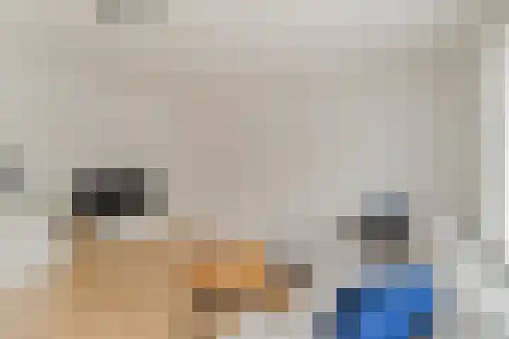 Schollevaartse Dreef 17 Rotterdam thumbnail 9