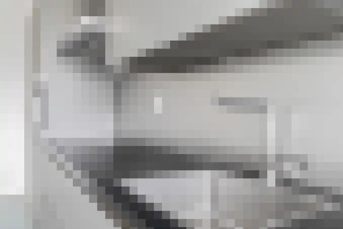 Schollevaartse Dreef 5 Rotterdam thumbnail 12
