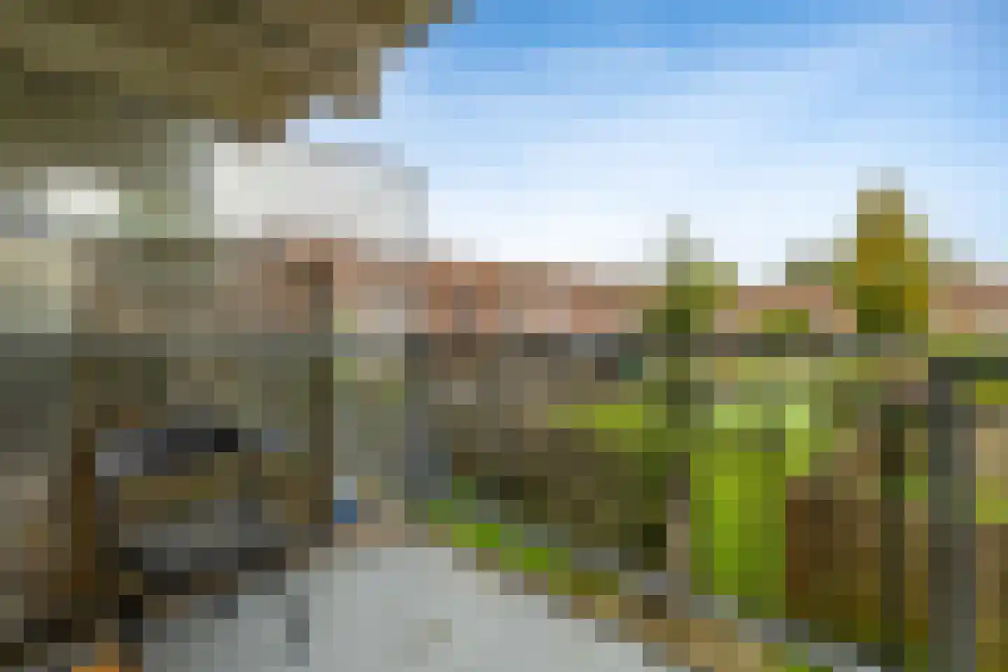 Schollevaartse Dreef 5 Rotterdam thumbnail 22
