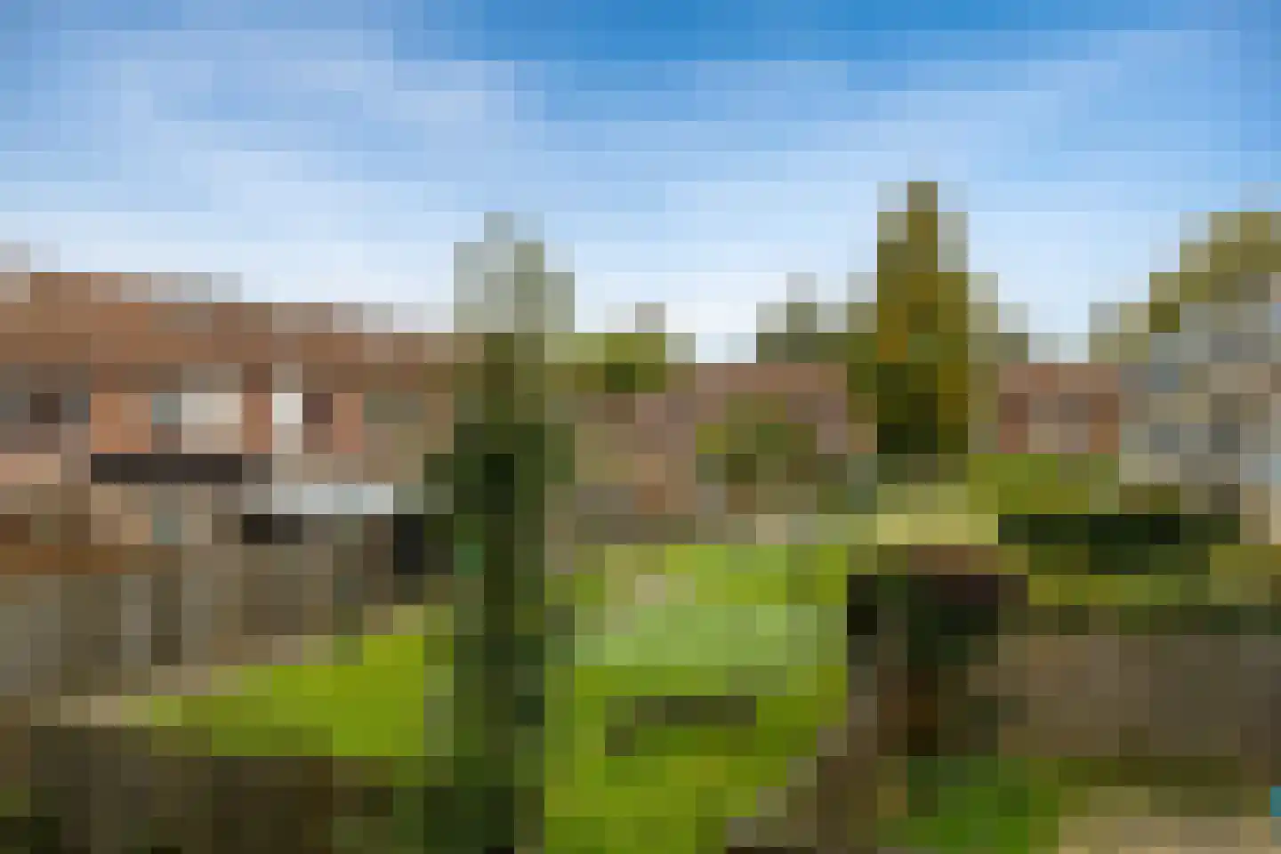 Schollevaartse Dreef 5 Rotterdam thumbnail 23