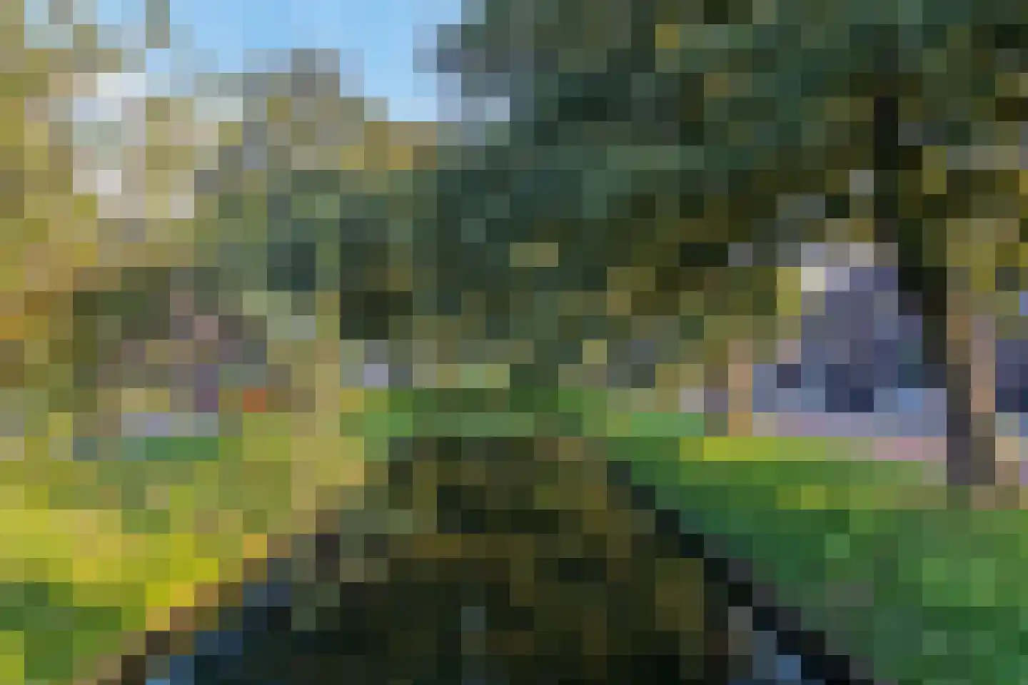 Schollevaartse Dreef 5 Rotterdam thumbnail 24
