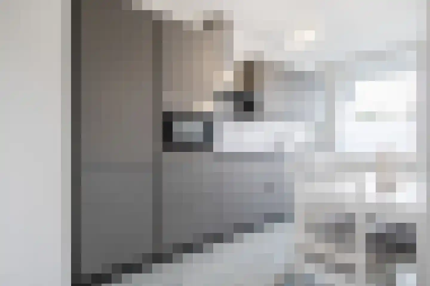 Schollevaartse Dreef 5 Rotterdam thumbnail 8