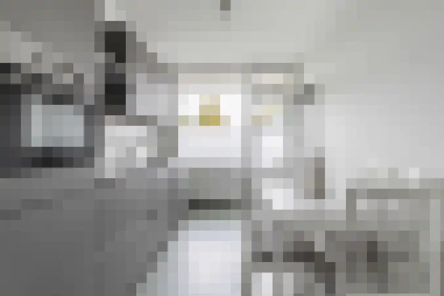 Schollevaartse Dreef 5 Rotterdam thumbnail 9