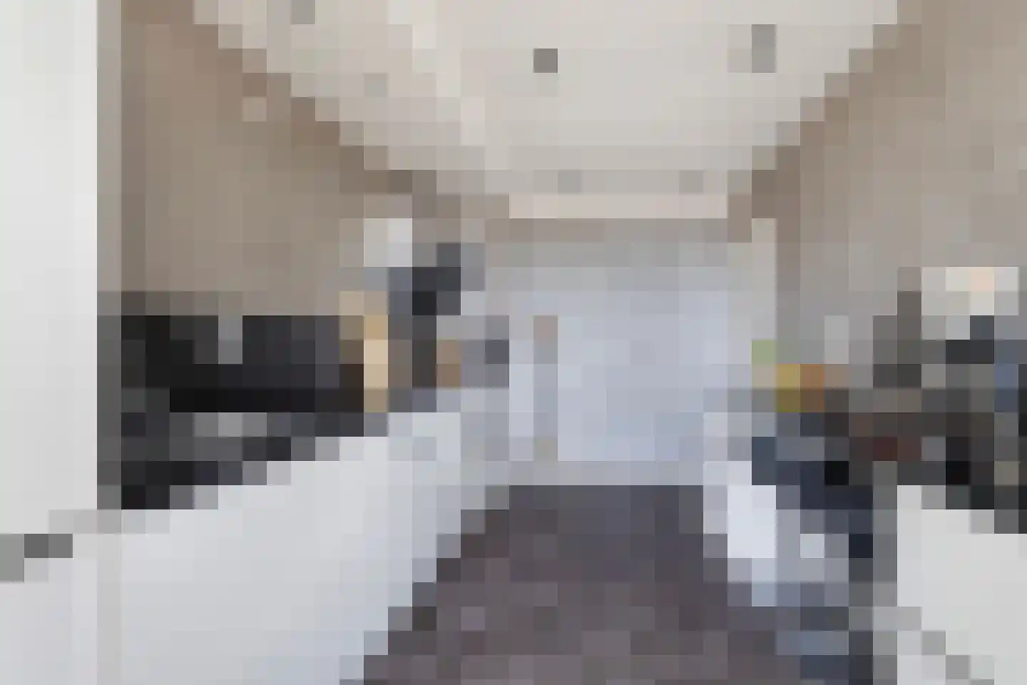 Schollevaartse Dreef 85 Rotterdam thumbnail 11