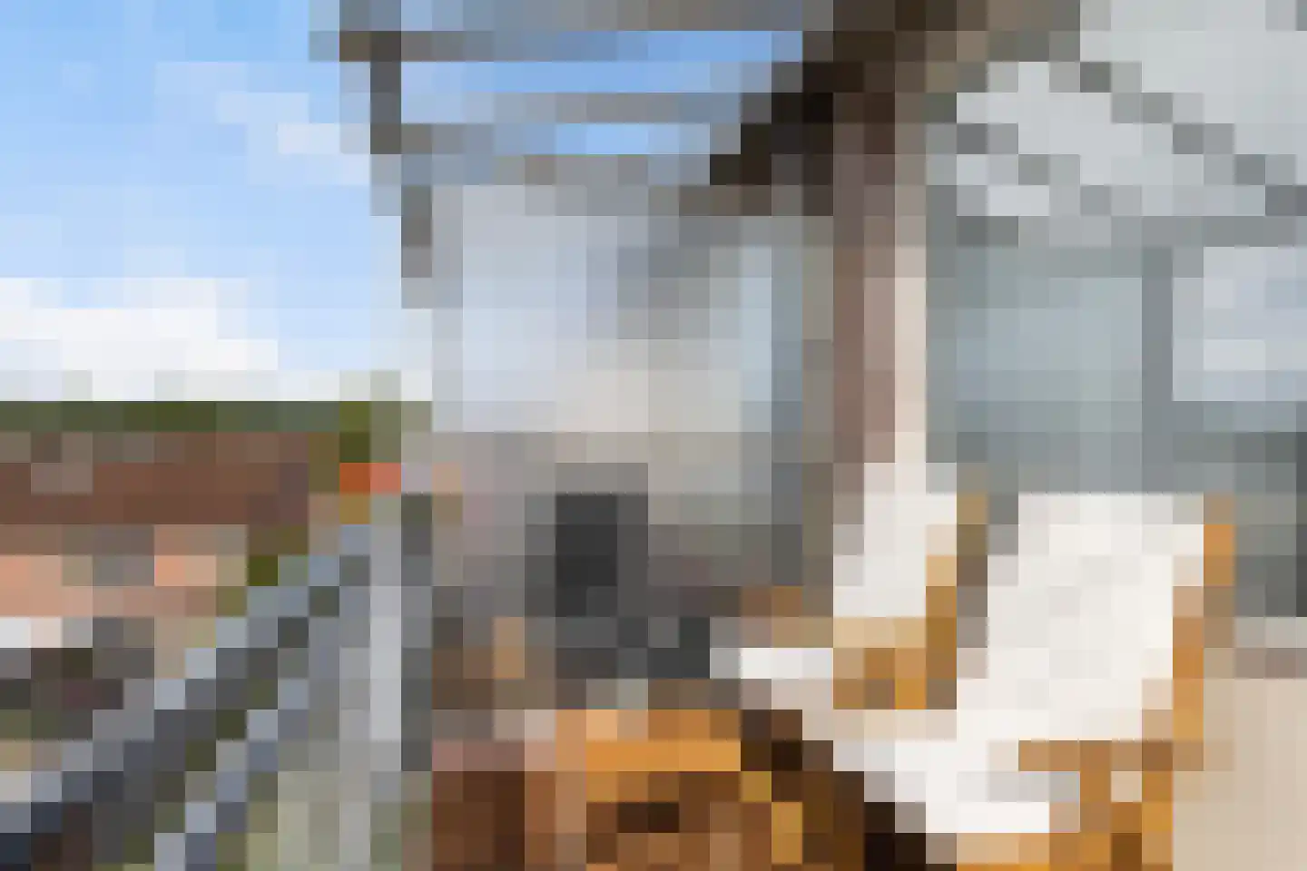 Schollevaartse Dreef 85 Rotterdam thumbnail 21
