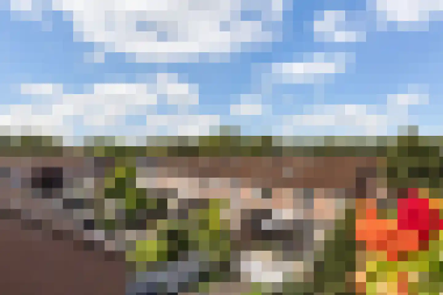 Schollevaartse Dreef 85 Rotterdam thumbnail 23