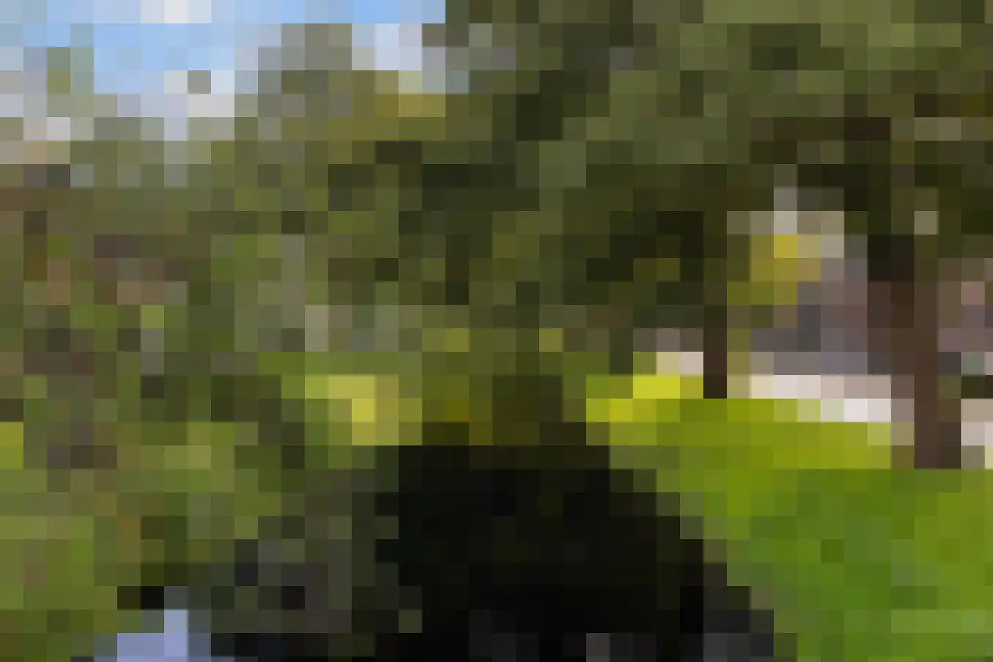 Schollevaartse Dreef 85 Rotterdam thumbnail 25