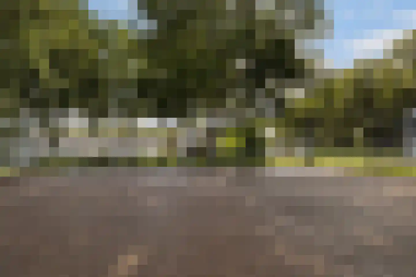 Schollevaartse Dreef 85 Rotterdam thumbnail 26
