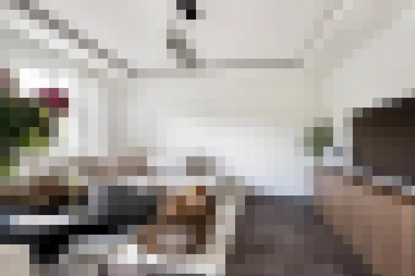 Schollevaartse Dreef 85 Rotterdam thumbnail 7