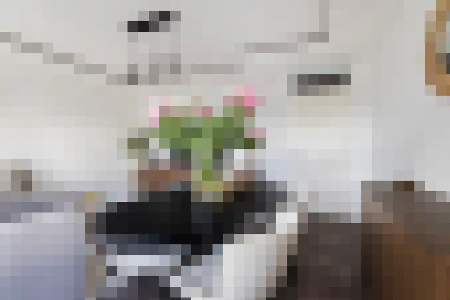Schollevaartse Dreef 85 Rotterdam thumbnail 9