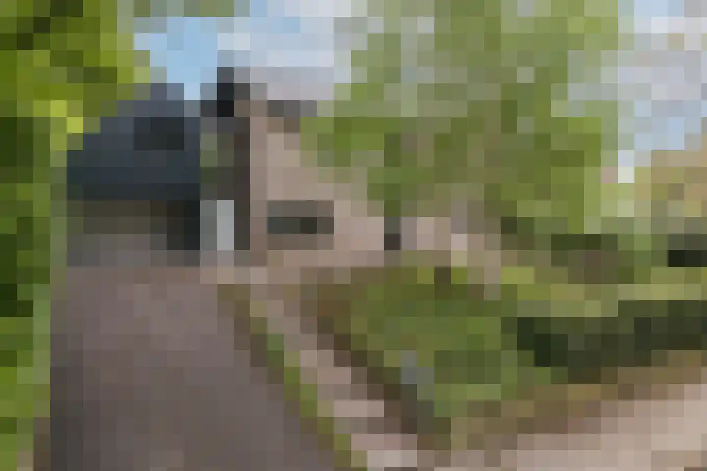 Scholte Grevinkhoflaan 2 in Oldenzaal