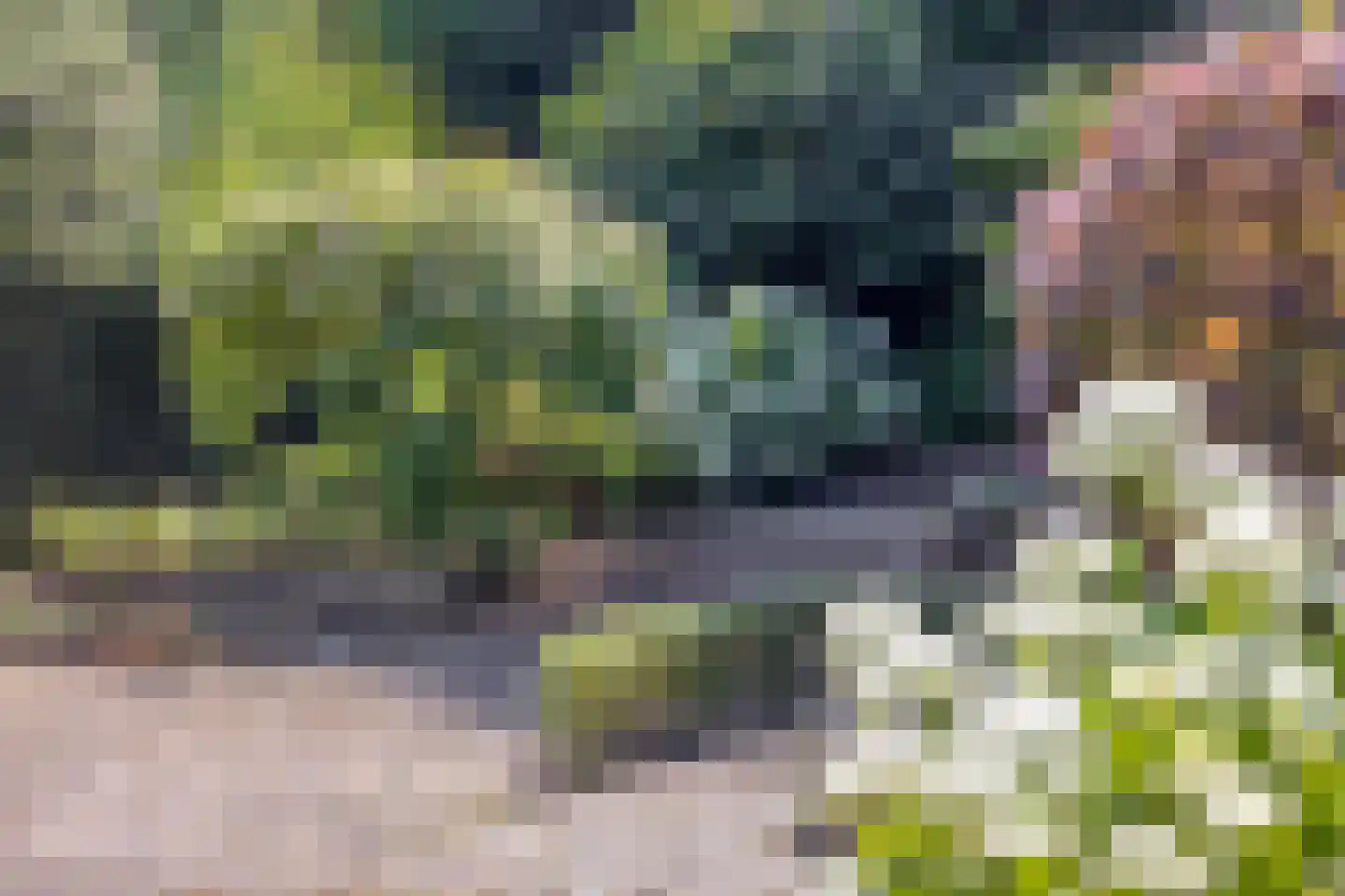 Scholte Grevinkhoflaan 8 Oldenzaal thumbnail 33