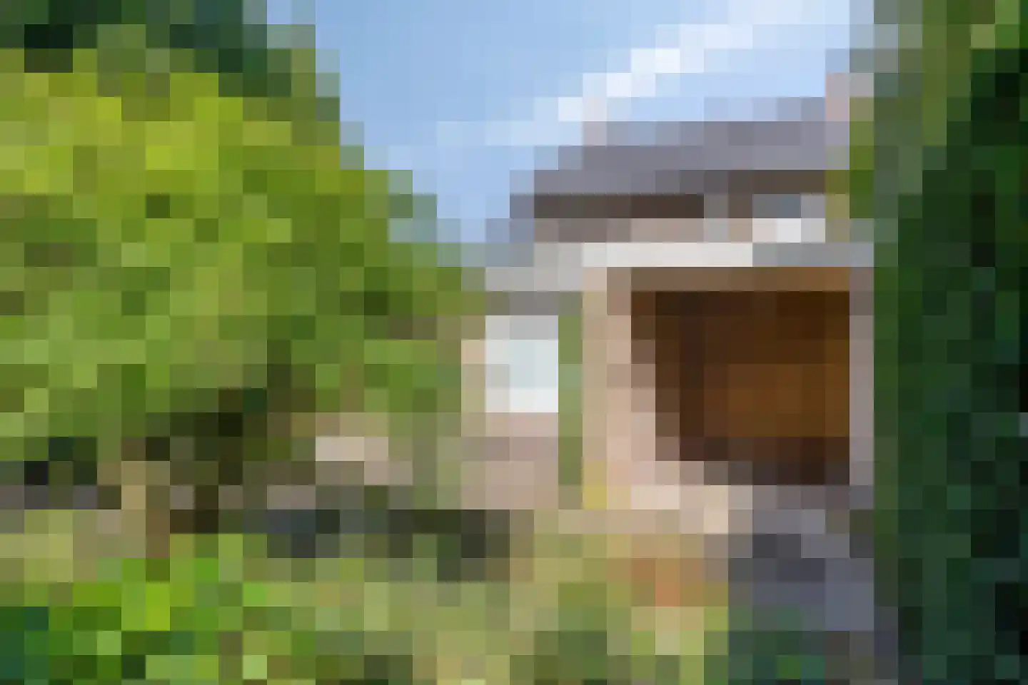 Scholte Grevinkhoflaan 8 Oldenzaal thumbnail 34