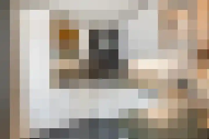 Scholten-Hofmansbrink 21 Eibergen thumbnail 16