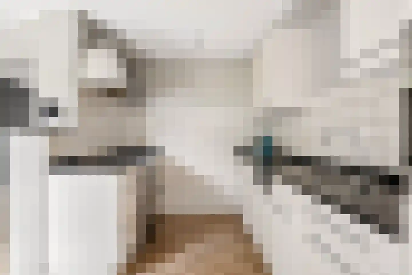 Scholten-Hofmansbrink 3 Eibergen thumbnail 13