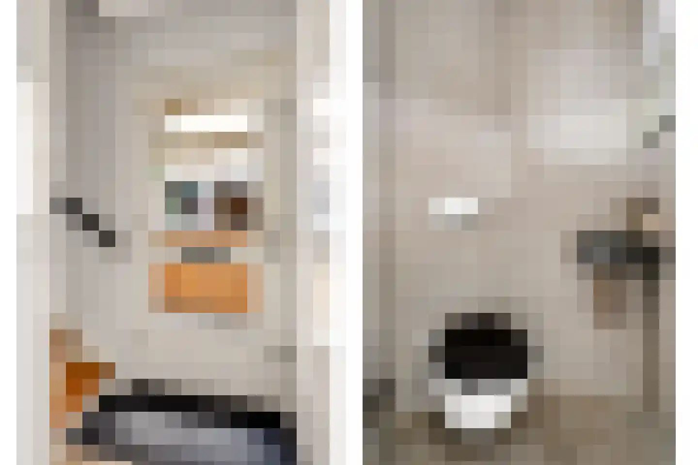 Scholten-Hofmansbrink 3 Eibergen thumbnail 20