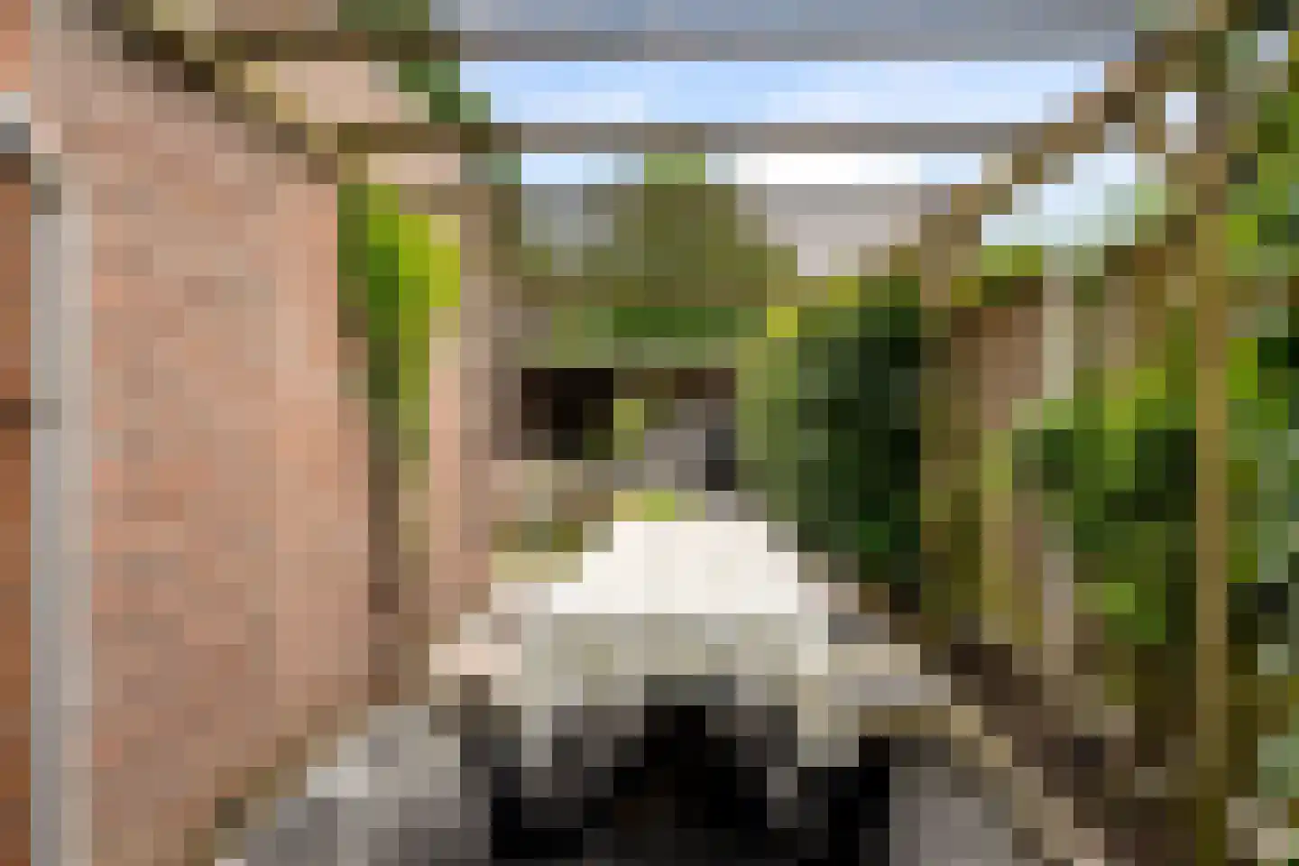 Scholten-Hofmansbrink 3 Eibergen thumbnail 4
