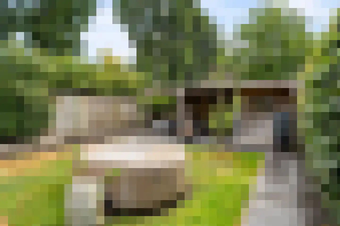 Scholten-Hofmansbrink 3 Eibergen thumbnail 48