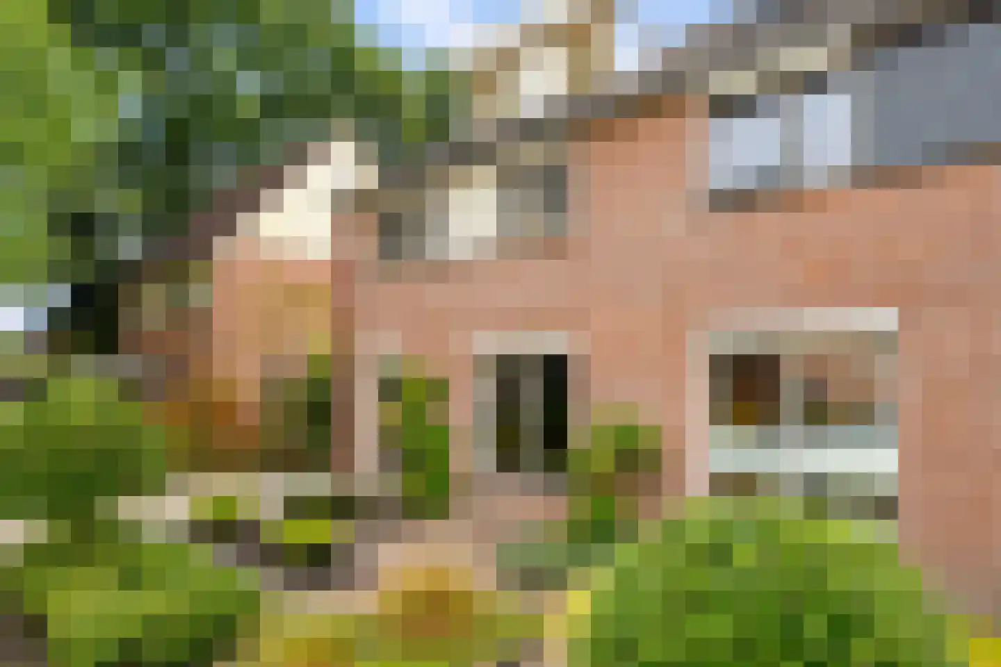 Scholten-Hofmansbrink 3 Eibergen thumbnail 5
